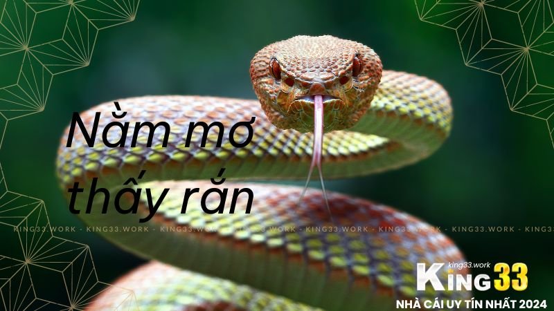 Giải Mã việc ngẫu nhiên nằm Mơ Thấy Rắn từ King33